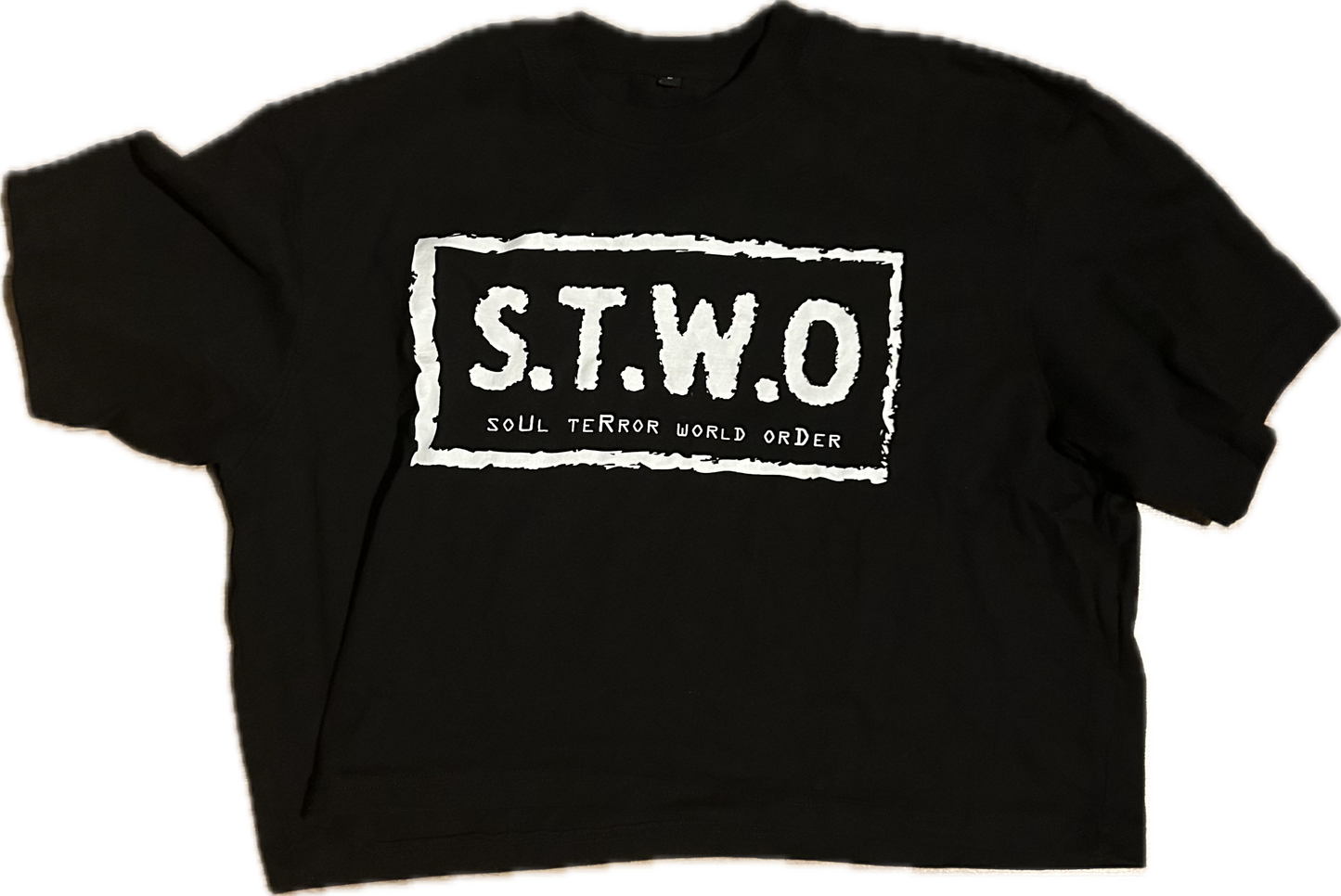 CROPPED -STWO - PRE ORDER VERSION